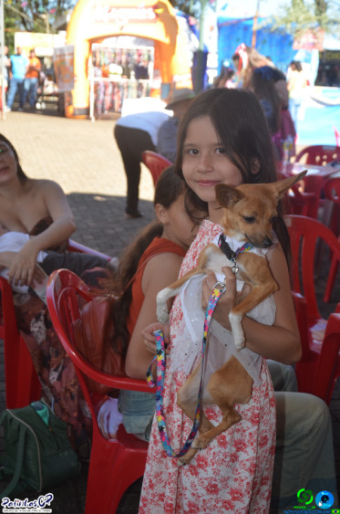 19/07/26 em Cornelio Procopio - Pet Julina - Foto 21