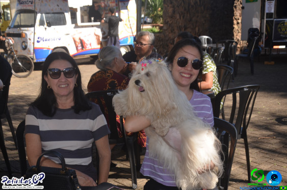 19/07/26 em Cornelio Procopio - Pet Julina - Foto 28