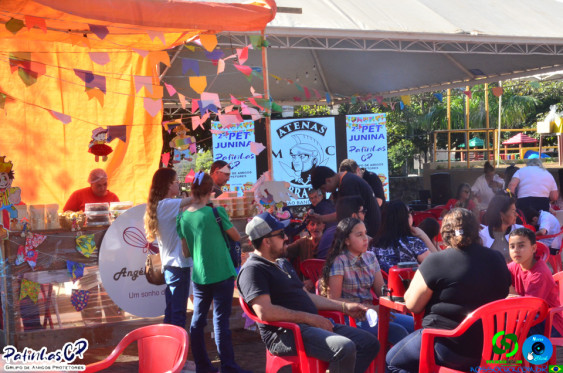 19/07/26 em Cornelio Procopio - Pet Julina - Foto 52
