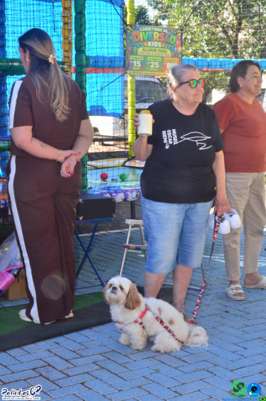 19/07/26 em Cornelio Procopio - Pet Julina - Foto 83
