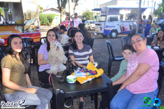 19/07/26 em Cornelio Procopio - Pet Julina - Foto 111
