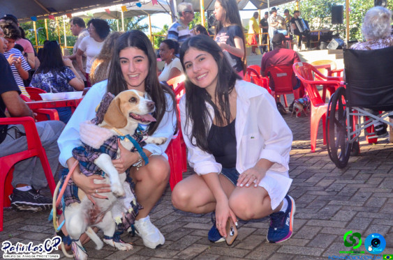 19/07/26 em Cornelio Procopio - Pet Julina - Foto 132