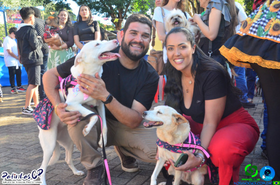 19/07/26 em Cornelio Procopio - Pet Julina - Foto 176