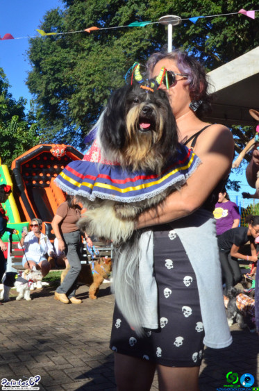 19/07/26 em Cornelio Procopio - Pet Julina - Foto 212