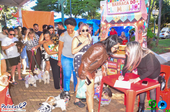 19/07/26 em Cornelio Procopio - Pet Julina - Foto 245