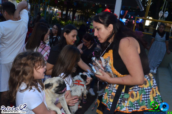 19/07/26 em Cornelio Procopio - Pet Julina - Foto 315