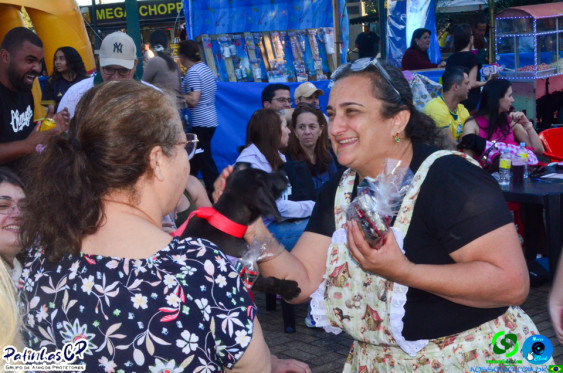 19/07/26 em Cornelio Procopio - Pet Julina - Foto 322