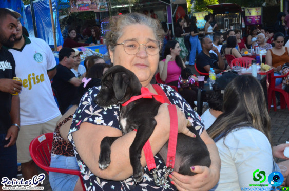 19/07/26 em Cornelio Procopio - Pet Julina - Foto 334