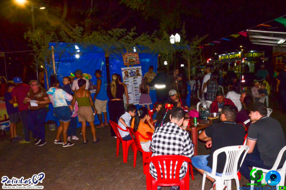 19/07/26 em Cornelio Procopio - Pet Julina - Foto 386
