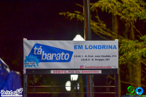 19/07/26 em Cornelio Procopio - Pet Julina - Foto 404