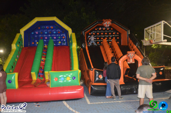 19/07/26 em Cornelio Procopio - Pet Julina - Foto 430